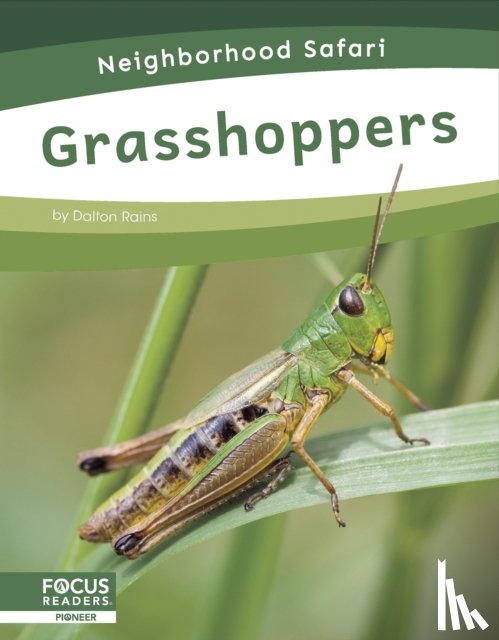 Rains, Dalton - Grasshoppers