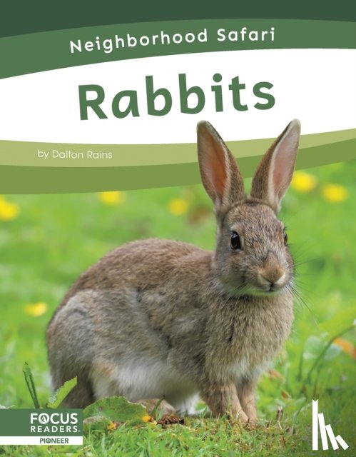 Rains, Dalton - Rabbits