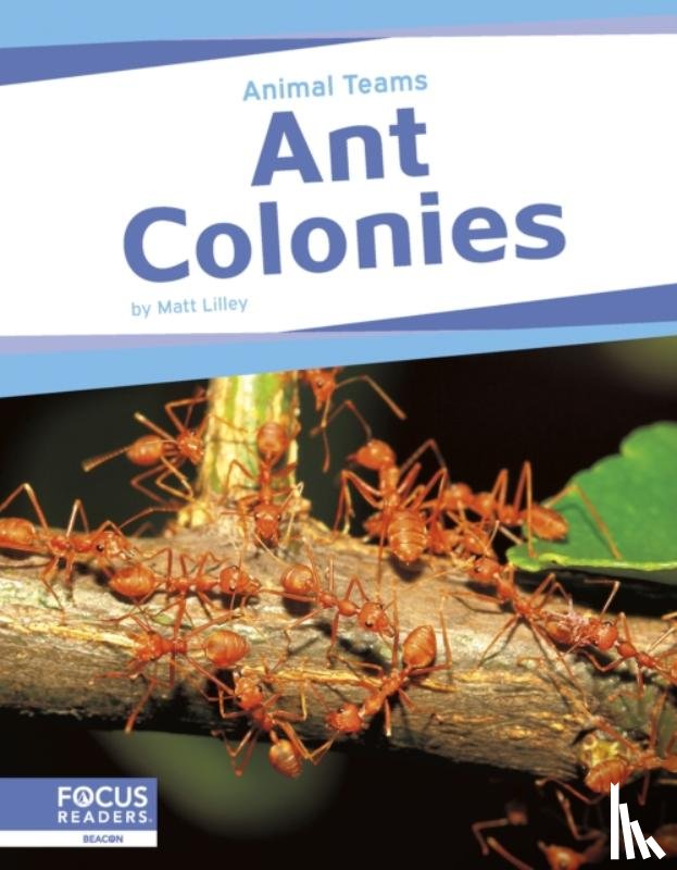 Lilley, Matt - Ant Colonies
