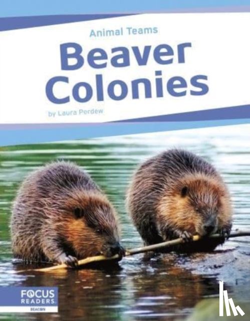 Perdew, Laura - Beaver Colonies
