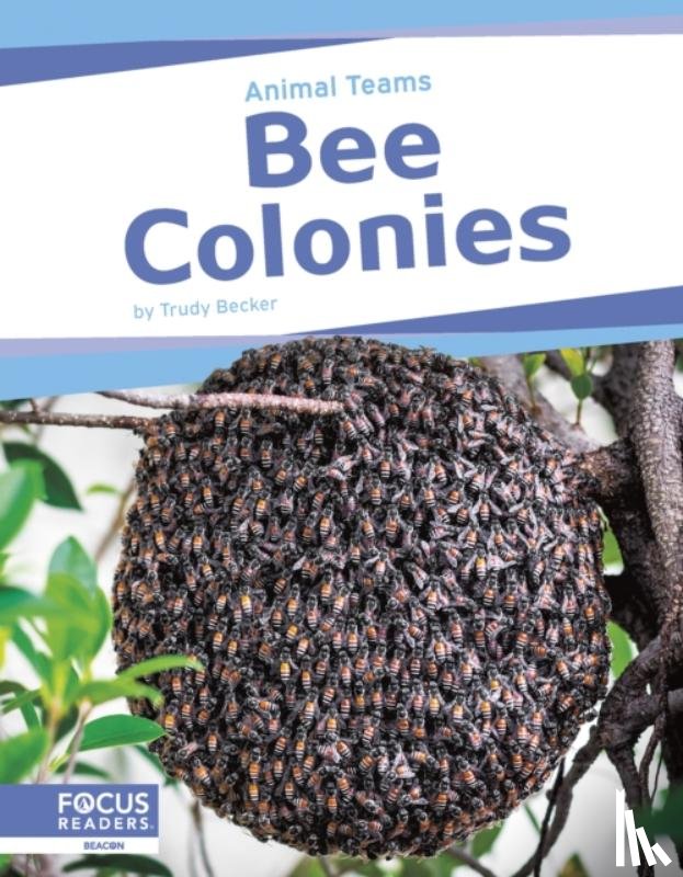 Becker, Trudy - Bee Colonies