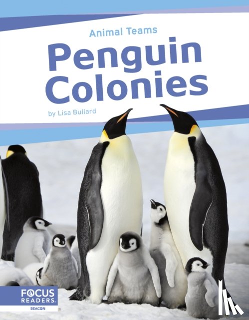 Bullard, Lisa - Penguin Colonies