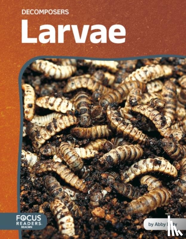 Doty, Abby - Larvae