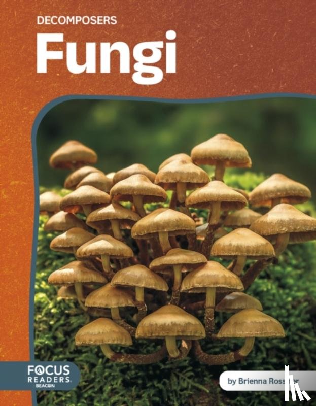 Rossiter, Brienna - Fungi
