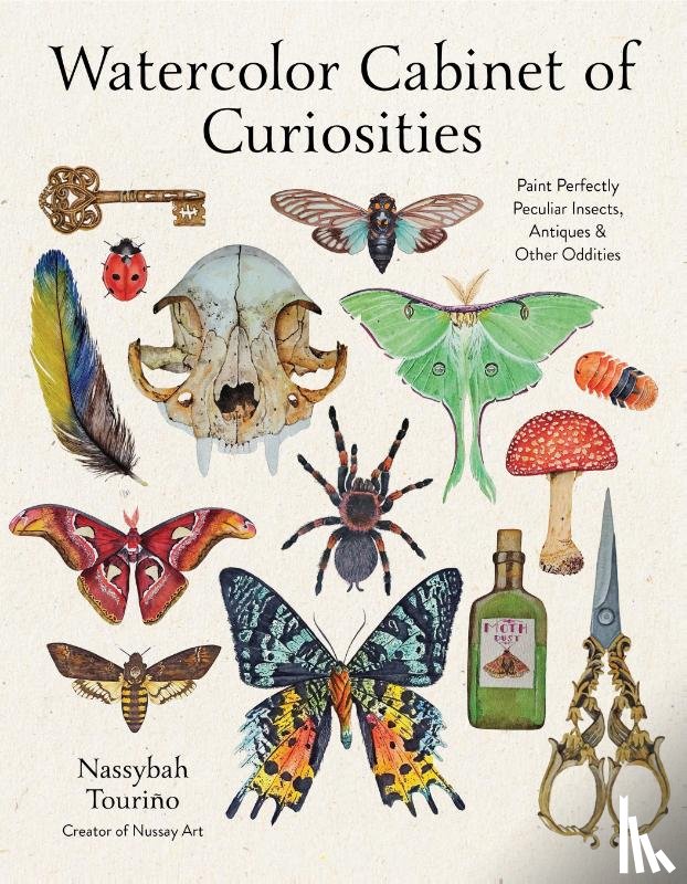 Tourino, Nassybah - Watercolor Cabinet of Curiosities