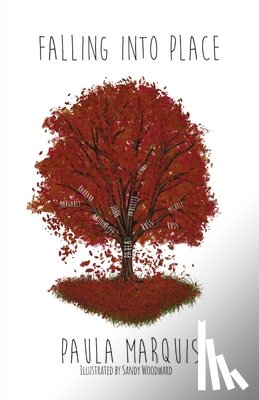 Marquis, Paula - Falling into Place