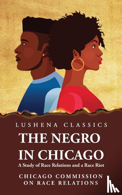 Unknown - The Negro in Chicago A Study of Race Relations and a Race Riot
