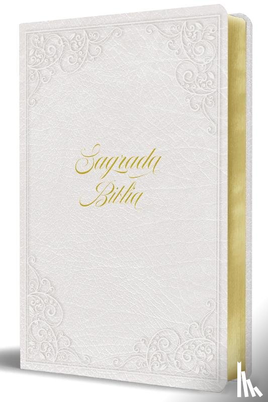 Biblia de América - Biblia de América: Biblia Católica: Letra Grande. Símil Piel