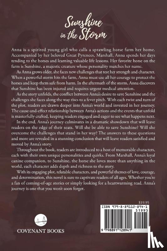 Written, by Angie Bagwell, Illustrated - Sunshine in the Storm