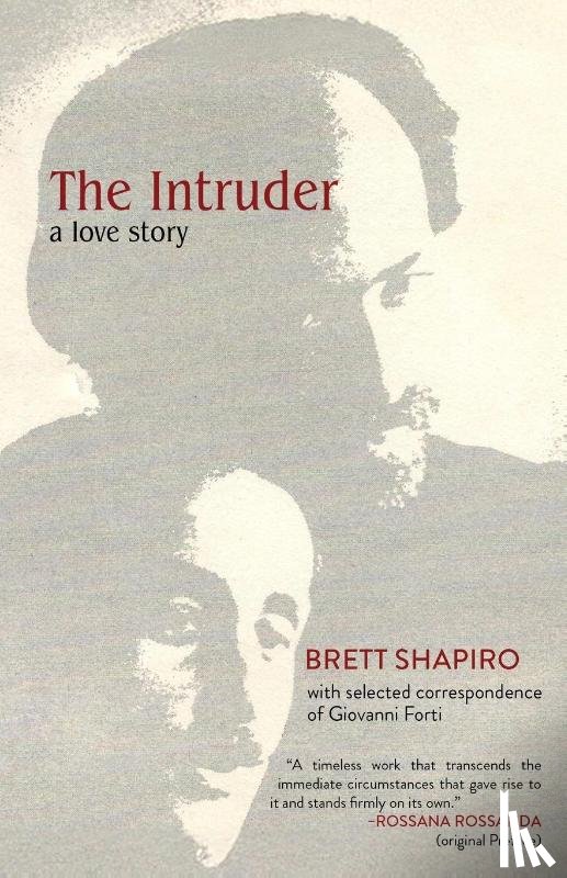 Shapiro, Brett - The Intruder