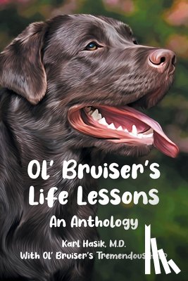 Hasik M. D., Karl - Ol' Bruiser's Life Lessons