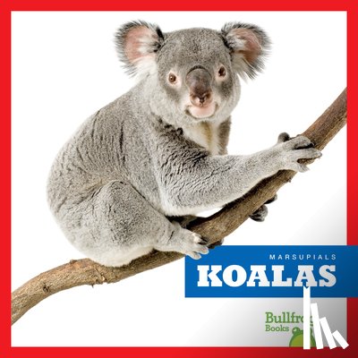 Deniston, Natalie - Koalas