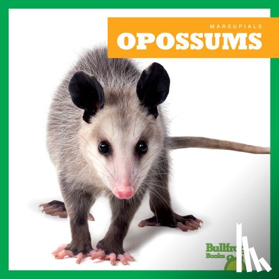 Deniston, Natalie - Opossums