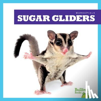 Deniston, Natalie - Sugar Gliders