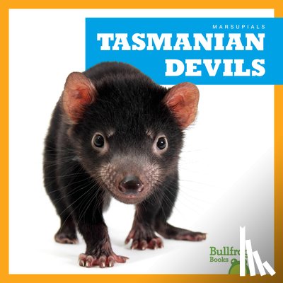 Deniston, Natalie - Tasmanian Devils