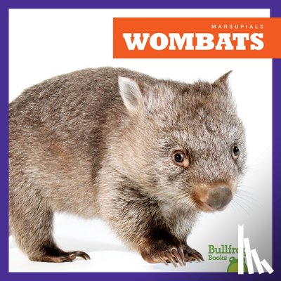 Deniston, Natalie - Wombats