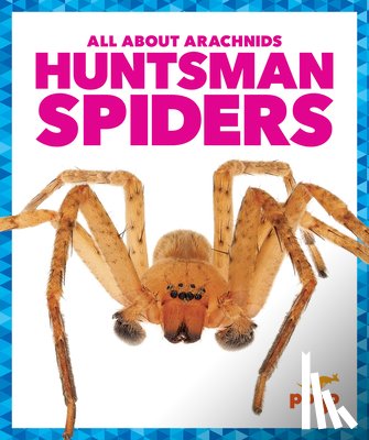 Gleisner, Jenna Lee - Huntsman Spiders