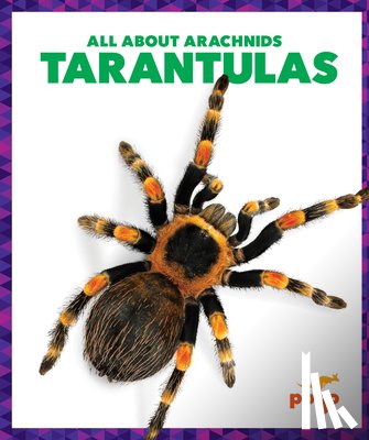 Becker, Becca - Tarantulas