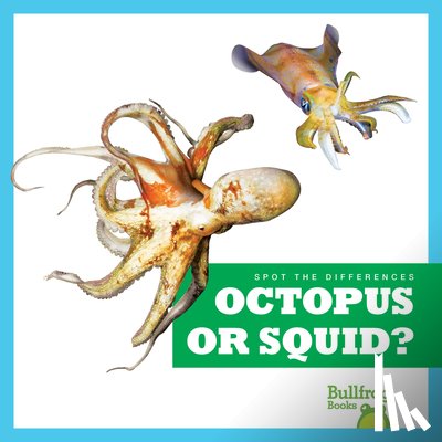 Deniston, Natalie - Octopus or Squid?