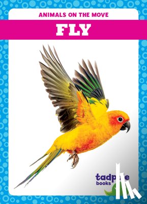 Gleisner, Jenna Lee - Fly