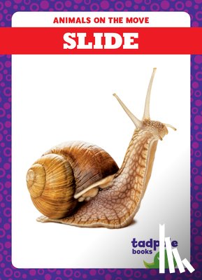 Gleisner, Jenna Lee - Slide