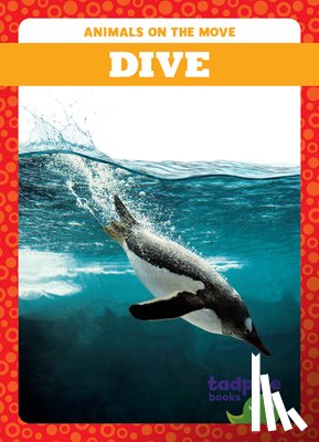 Gleisner, Jenna Lee - Dive