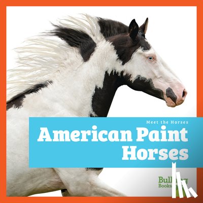 Grack, Rachel - American Paint Horses