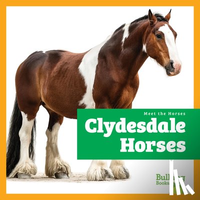 Grack, Rachel - Clydesdale Horses