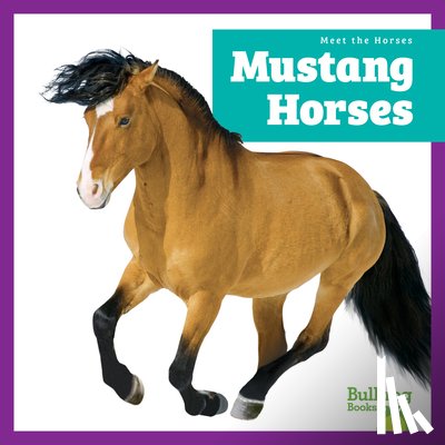 Grack, Rachel - Mustang Horses