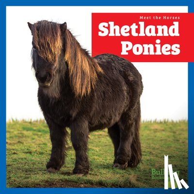 Grack, Rachel - Shetland Ponies