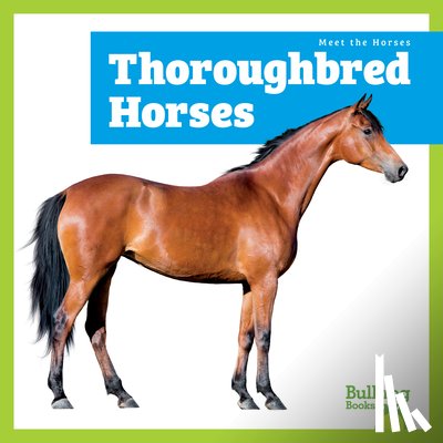 Grack, Rachel - Thoroughbred Horses