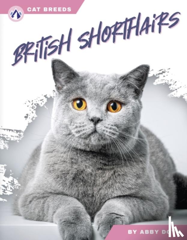 Doty, Abby - British Shorthairs