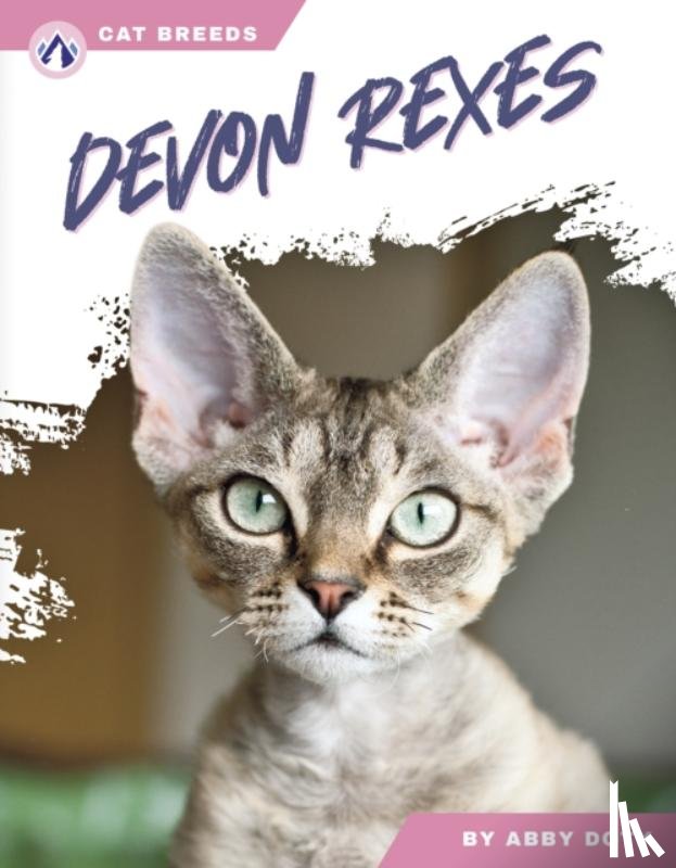 Doty, Abby - Devon Rexes
