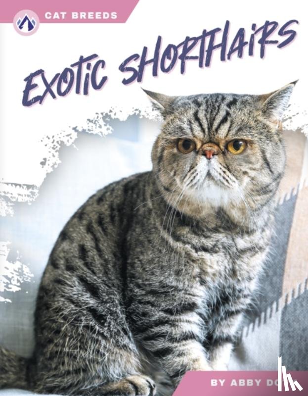 Doty, Abby - Exotic Shorthairs