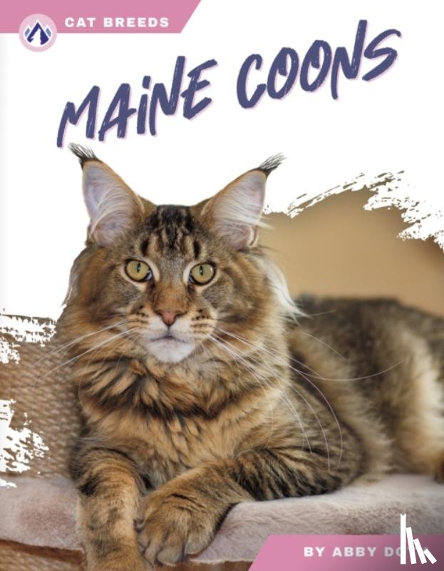 Doty, Abby - Maine Coons