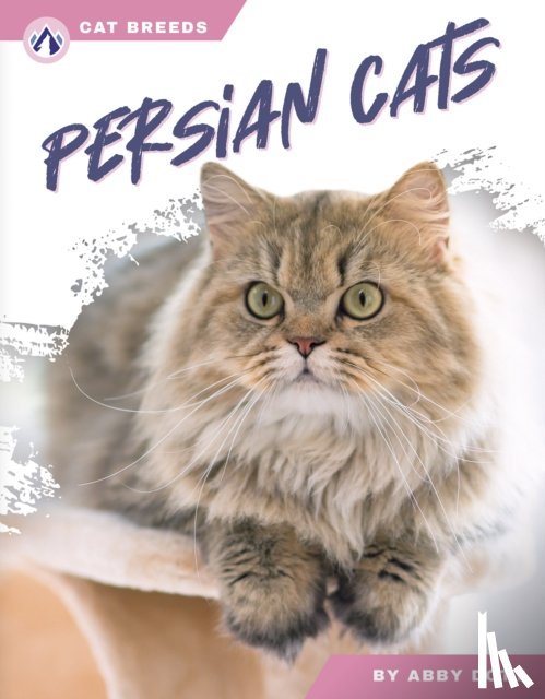 Doty, Abby - Persian Cats