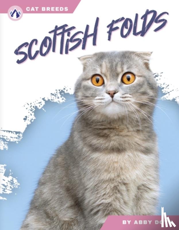 Doty, Abby - Scottish Folds