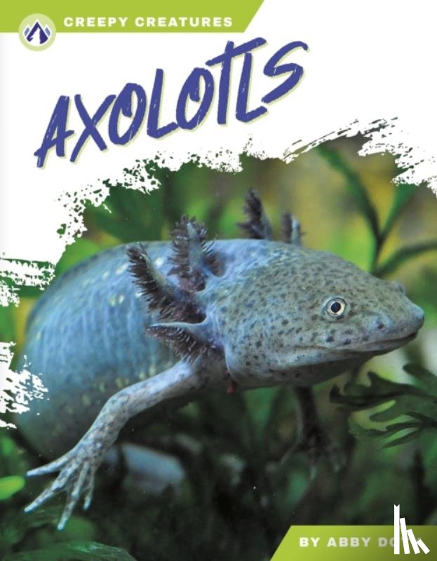 Doty, Abby - Axolotls