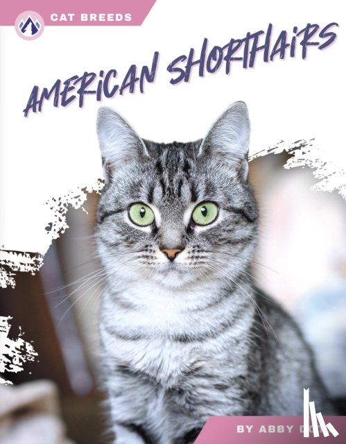 Doty, Abby - American Shorthairs