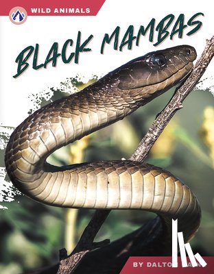Rains, Dalton - Black Mambas