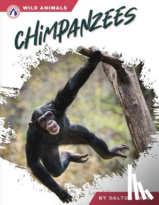 Rains, Dalton - Chimpanzees