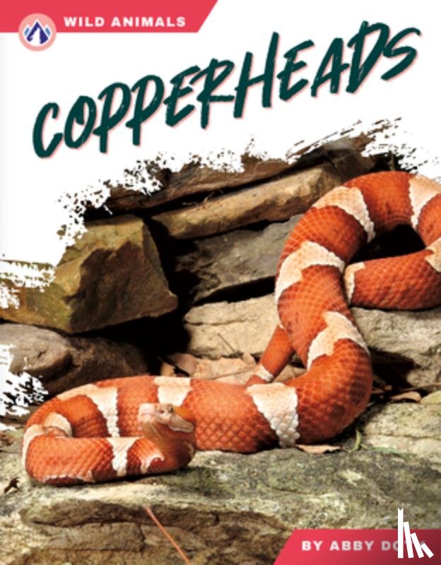 Doty, Abby - Copperheads