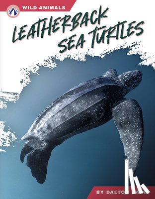 Rains, Dalton - Leatherback Sea Turtles