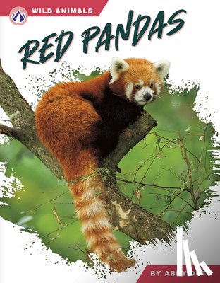 Doty, Abby - Red Pandas