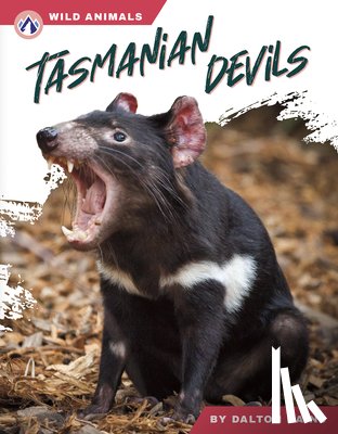 Rains, Dalton - Tasmanian Devils