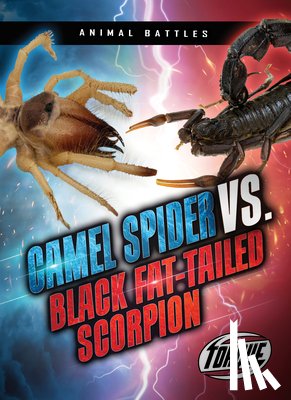 Sommer, Nathan - Camel Spider vs. Black Fat-Tailed Scorpion