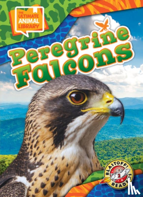 Bowman, Chris - Peregrine Falcons