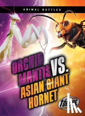 Sommer, Nathan - Orchid Mantis vs. Asian Giant Hornet