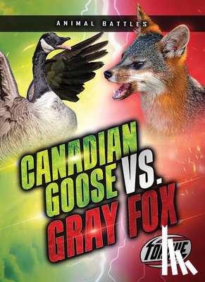 Sommer, Nathan - Canada Goose vs. Gray Fox