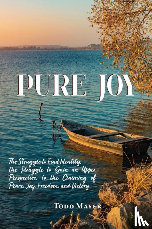 Mayer, Todd - Pure Joy